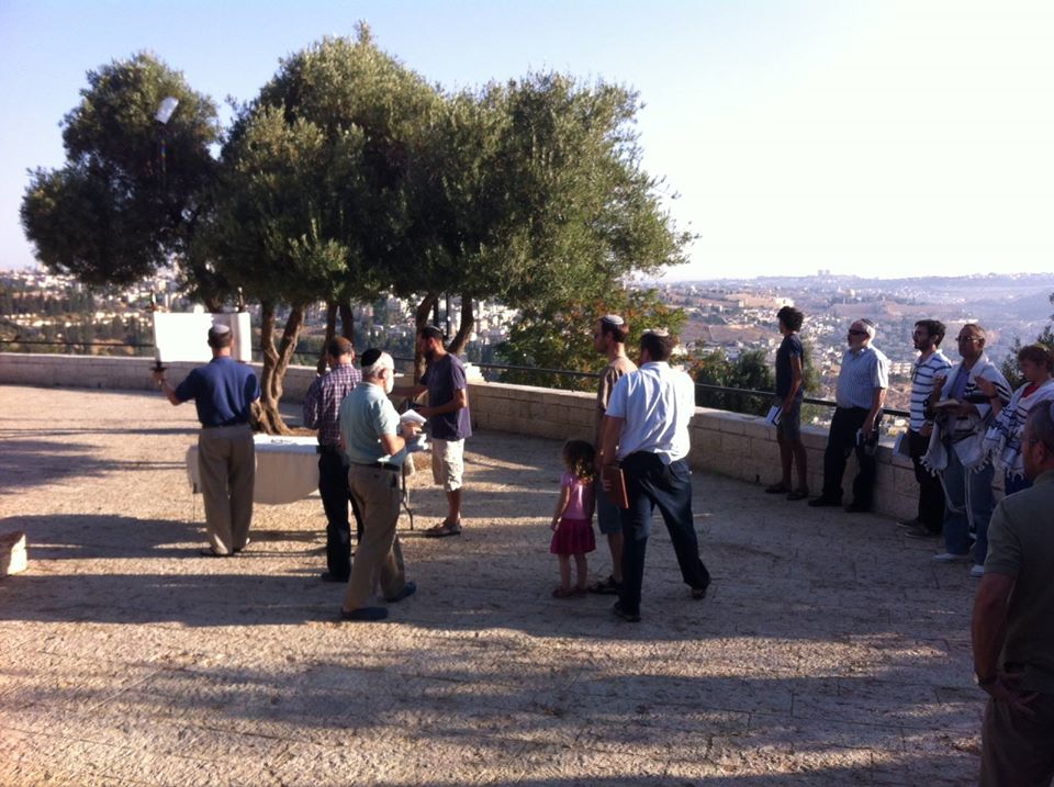 11794543_905079222887201_4258832914040606480_o