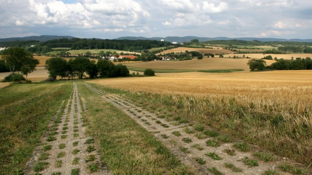 d116ce64f33f61cf48e6d649a4e4db72v1_max_635x357_b3535db83dc50e27c1bb1392364c95a2